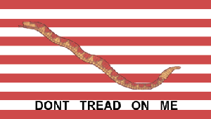 Don't Tread On Me, U.S. Navy Jack